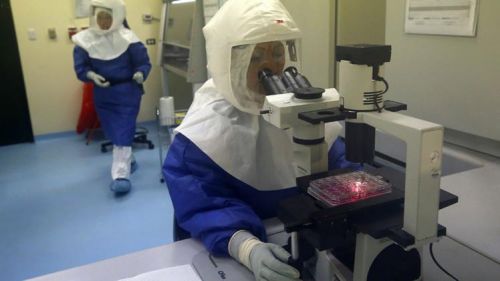علماء في روسيا يحصول علي مصل ضد مرض الايبولا
