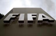 الفيفا يعين لجنة خاصة لإدارة الاتحاد الأرجنتيني لكرة القدم