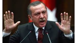 أردوغان يخاطب حشداً بالخرطوم ويشكر السودانيين لوقفتهم