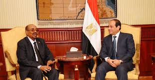 لجنة بالبرلمان المصري تطالب بإحياء برلمان وادي النيل