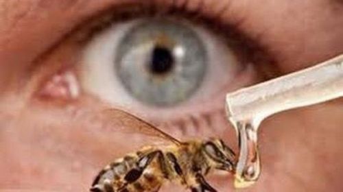إذا كنت تعتقد ان العسل مفيد للعينين ،إقرأ هذا الخبر