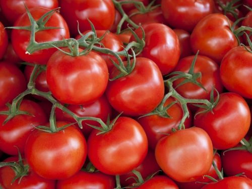 9 آثار جانبية عند الإفراط في تناول الطماطم