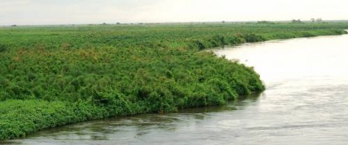 إلغاء الترخيص لمستثمر خليجي بولاية نهر النيل